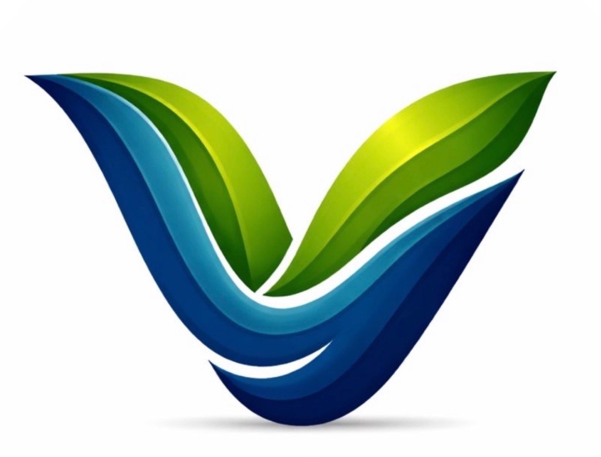 Vsolwit
